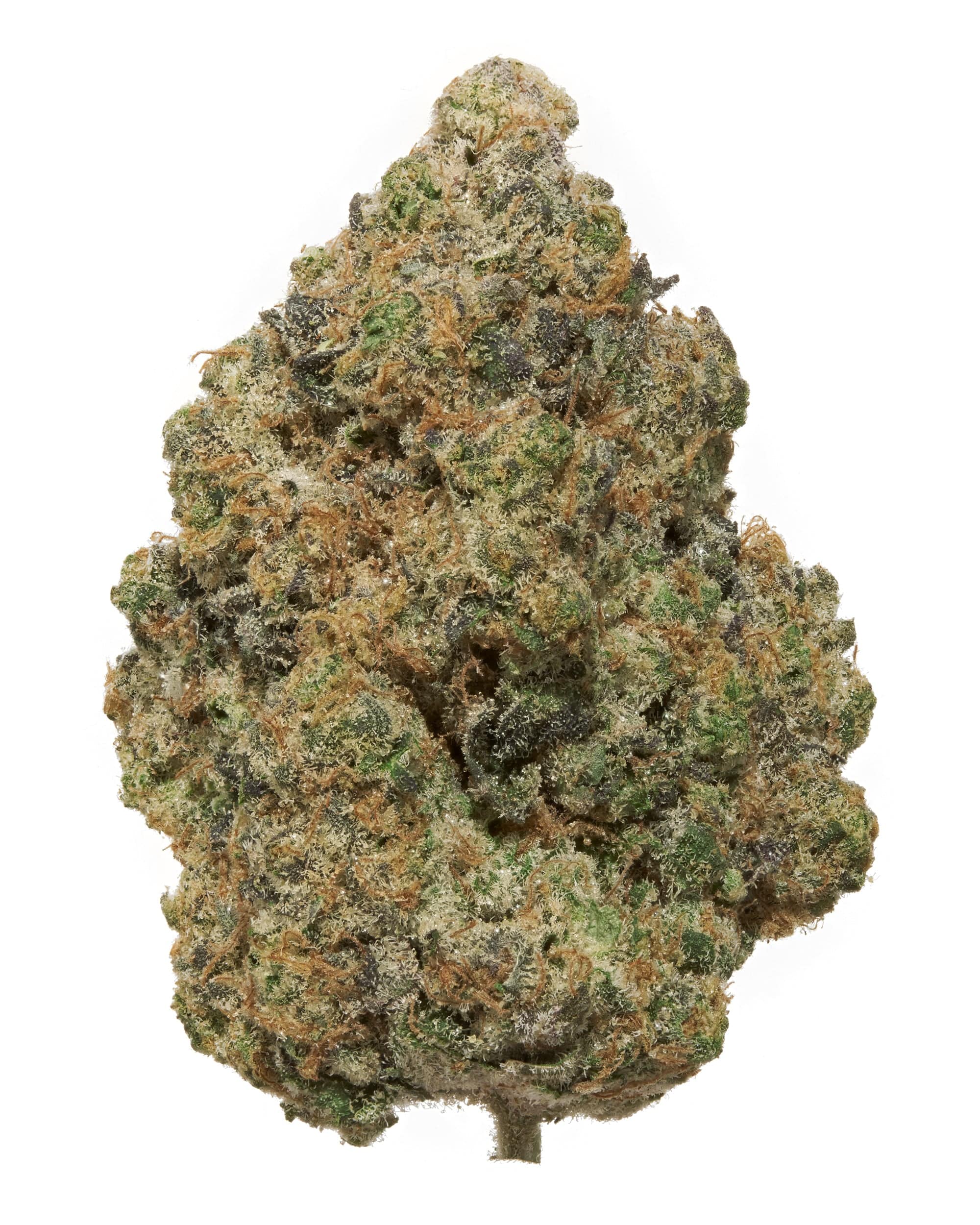 TANGERINE DREAM (INDOOR) THC-A Flower