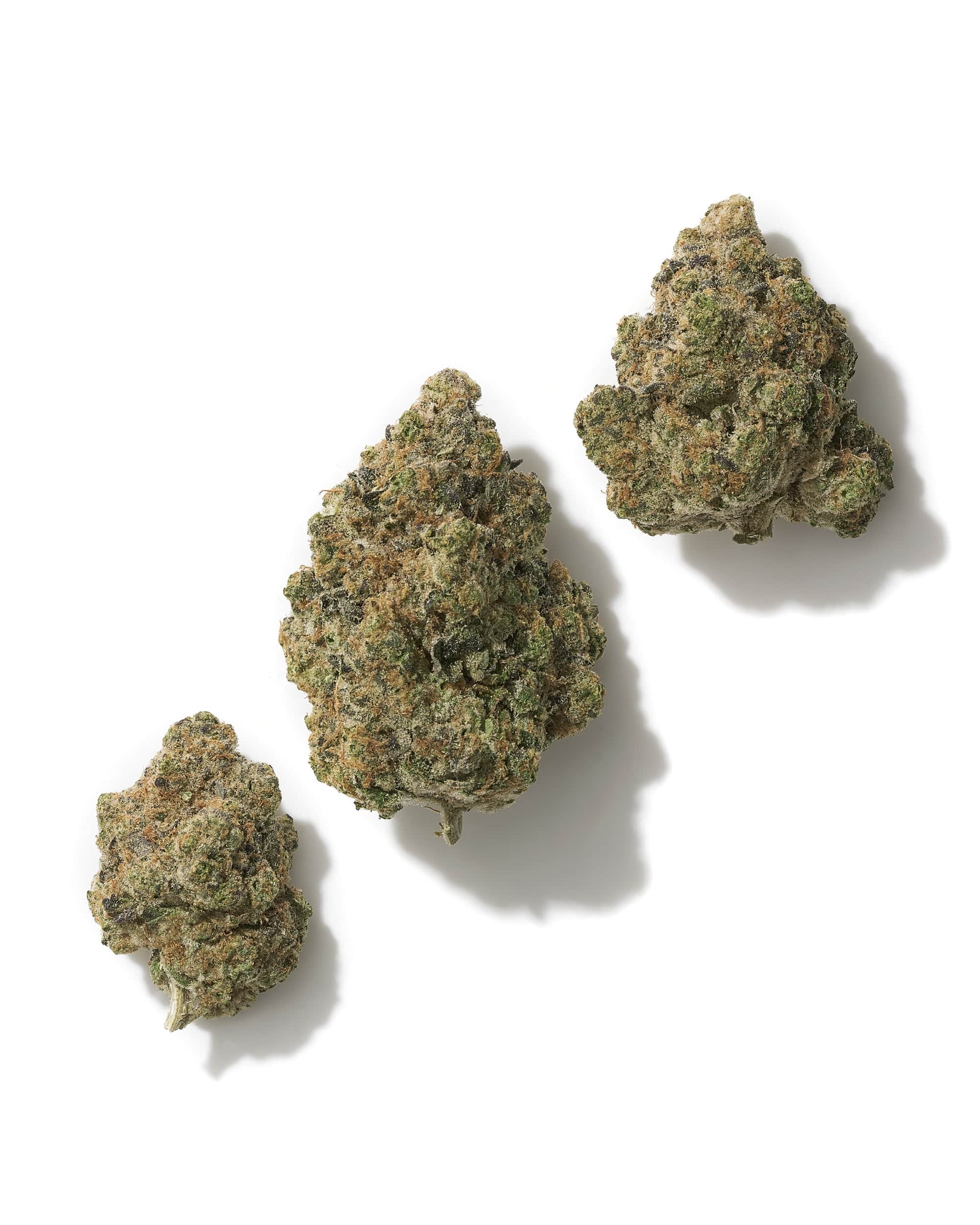 TANGERINE DREAM (INDOOR) THC-A Flower - Image 2
