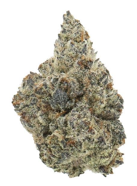 WHITE TRUFFLE (INDOOR) THC-A Flower